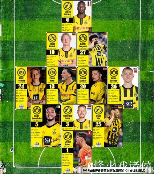 多特蒙德球员出身分类分析